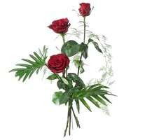 Rosen; 3 rote Rosen mit Gr?n