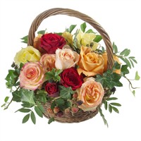 Rosen; Korb voll Rosen
