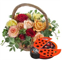 Blumenversand; Ein Korb voll Gl?ck mit Schoggi-Gl?cksk?fer